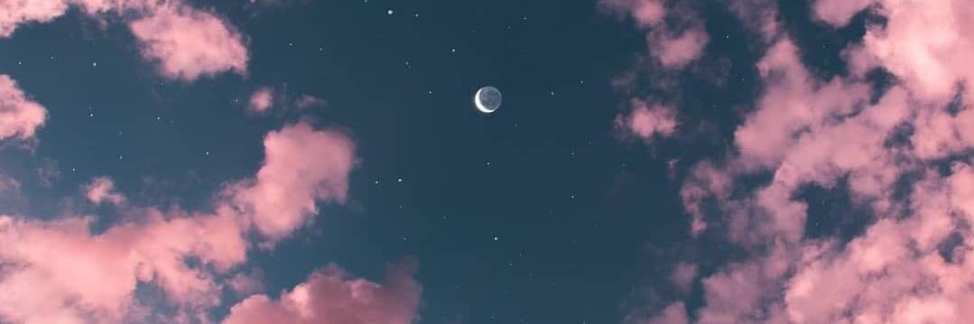 ₍ᐢ..ᐢ₎ :P banner