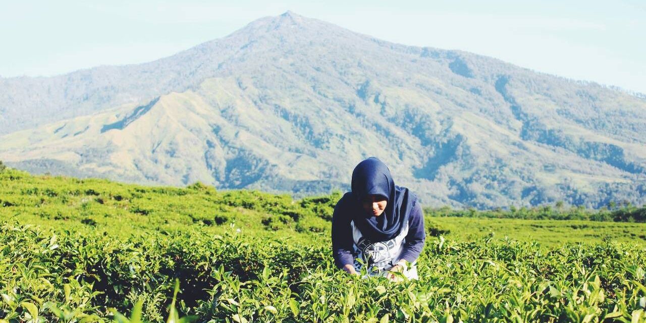 iedrala_'s profile banner image