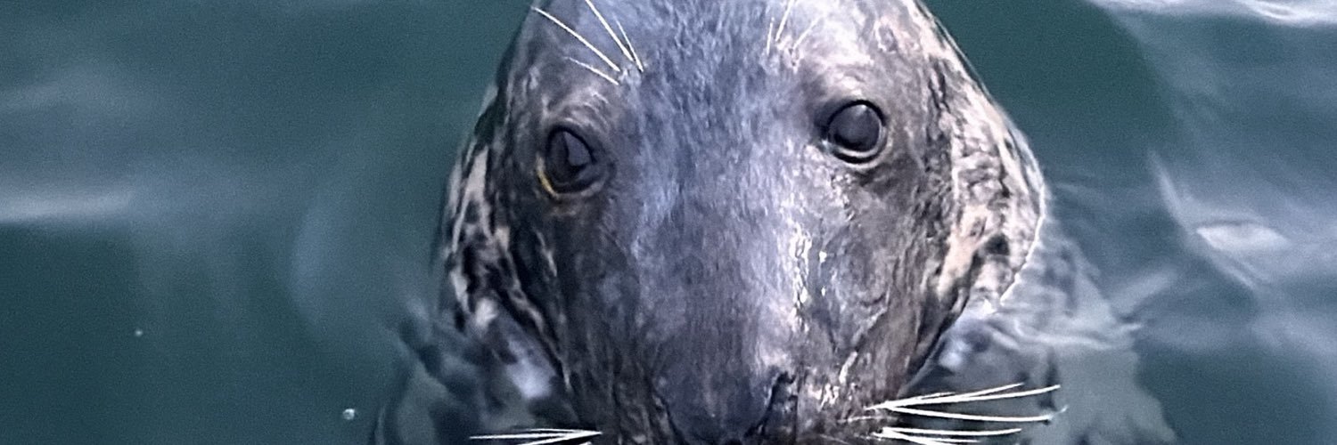 CharlieSpringo's profile banner image