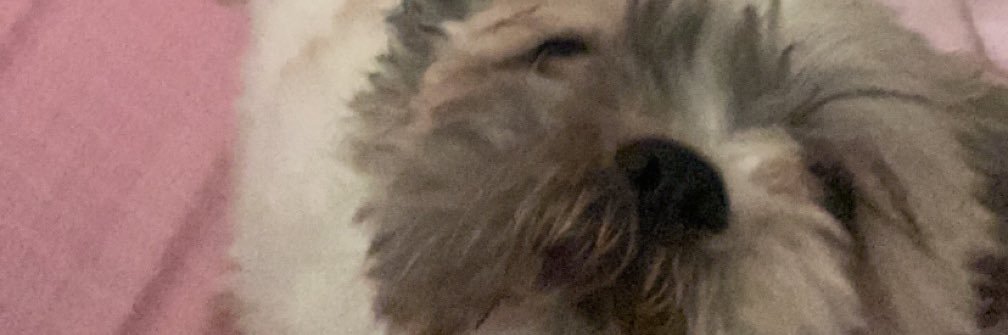 Stylesbbyxxx's profile banner image