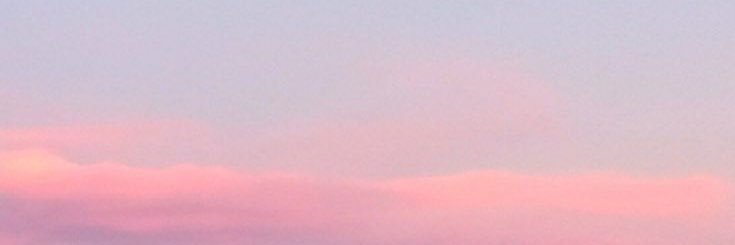 ppimonnut's profile banner image