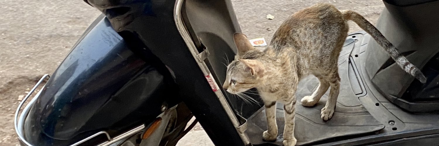 justice for all banner