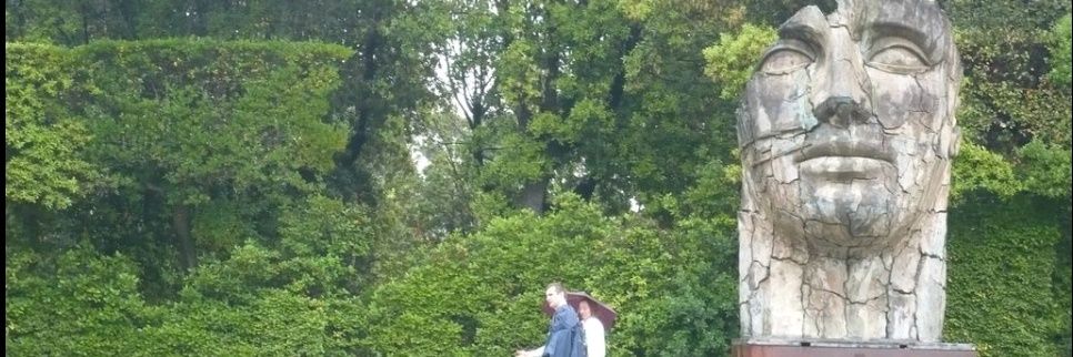 Daynú Acosta banner