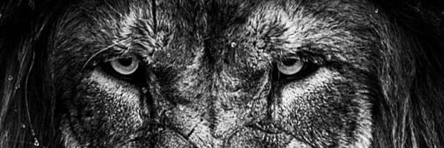 c_daboss's profile banner image
