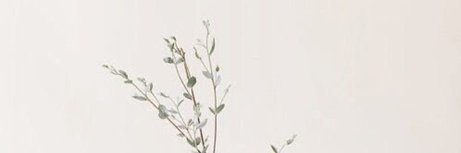 imaha1m's profile banner image