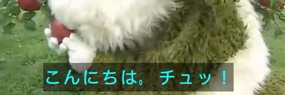 ゑﾋﾞ‼️ banner