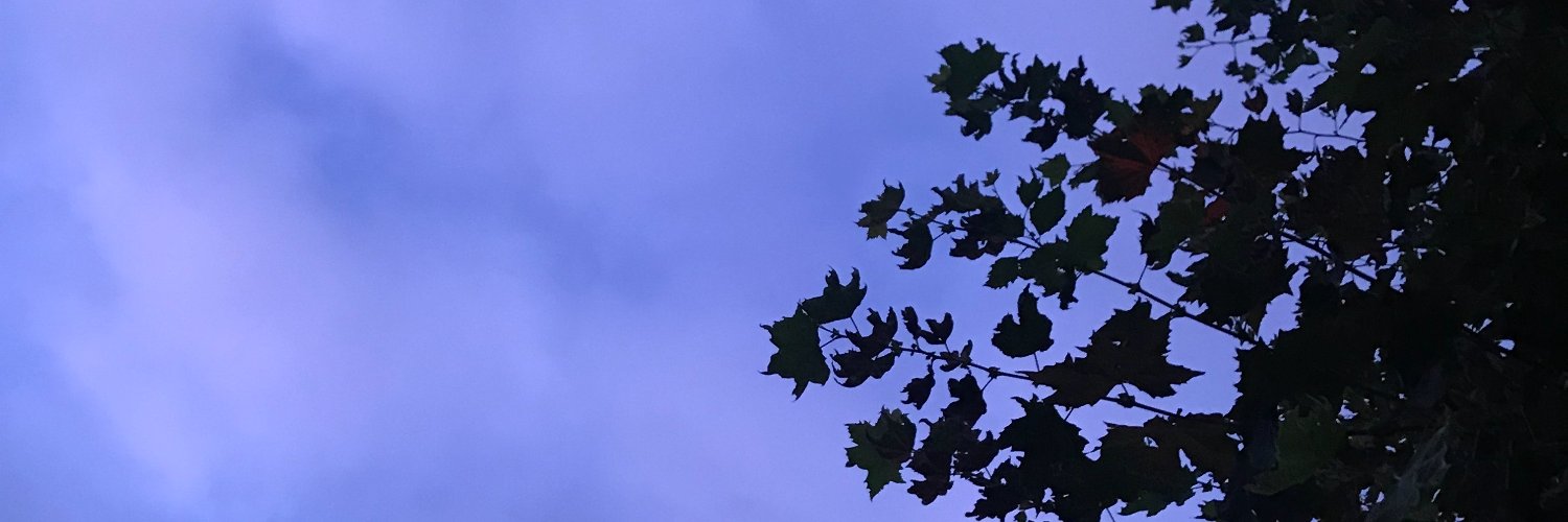 enekopb's profile banner image