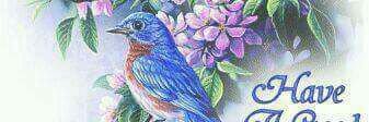BidyutKumarMon6's profile banner image