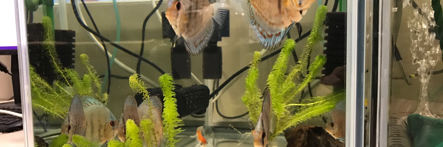 chamaharun's profile banner image
