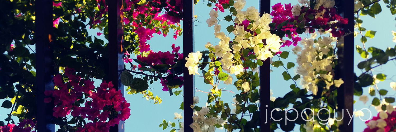 chichur_jen's profile banner image