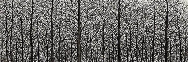 TexHawk075 Profile Banner