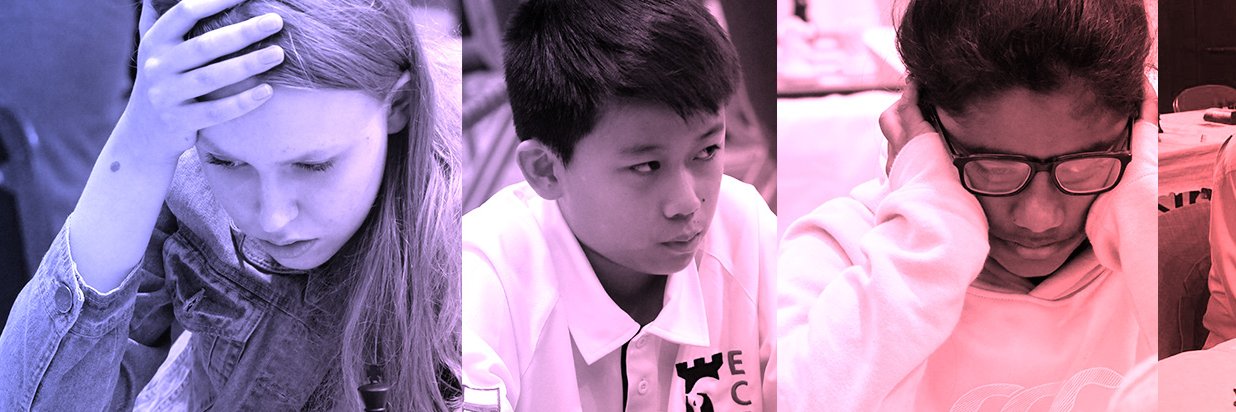 English Chess Federation (ECF)'s banner