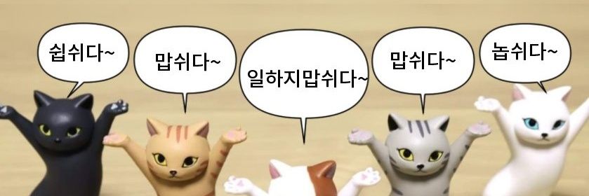 이채 banner