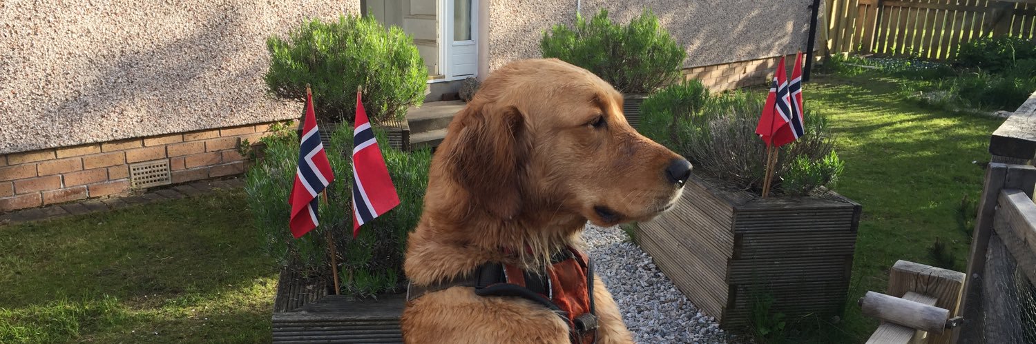 BenedikteTR's profile banner image