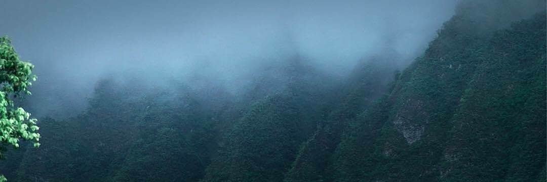 Nyagah_'s profile banner image