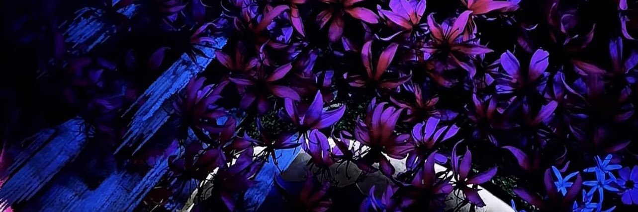 daeee_1's profile banner image