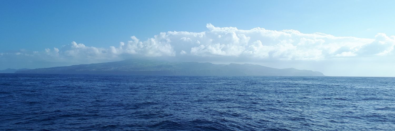 elinaseppanen's profile banner image