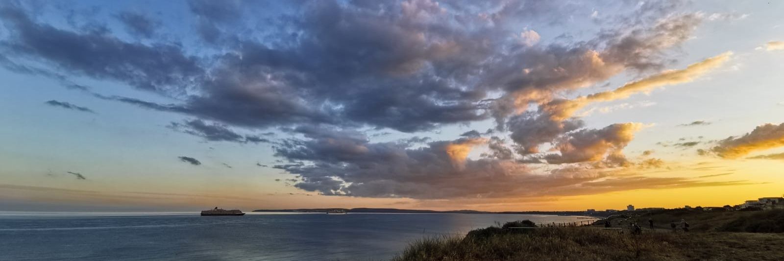 Emma Crowley banner