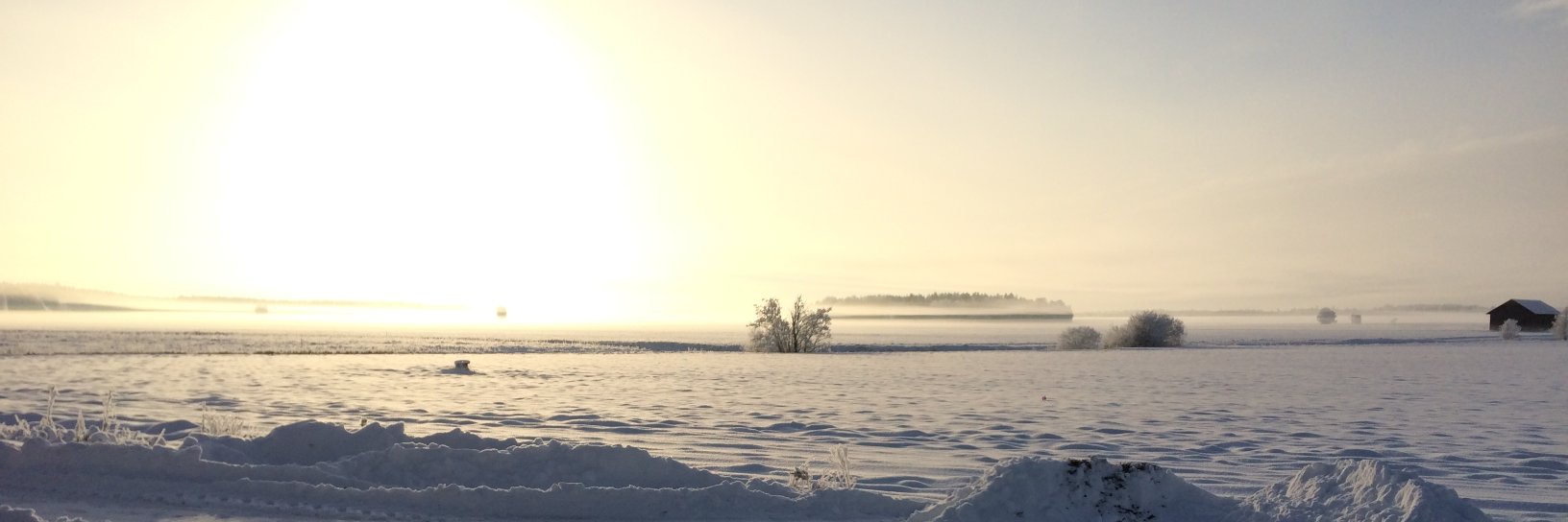 Emily Höckert banner