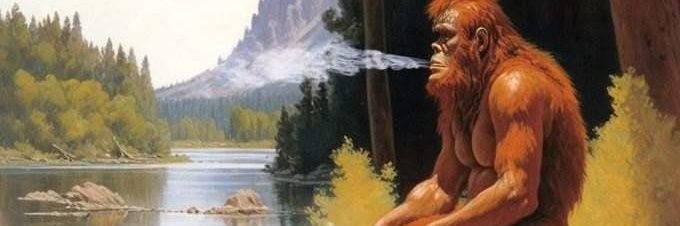 colloneets's profile banner image