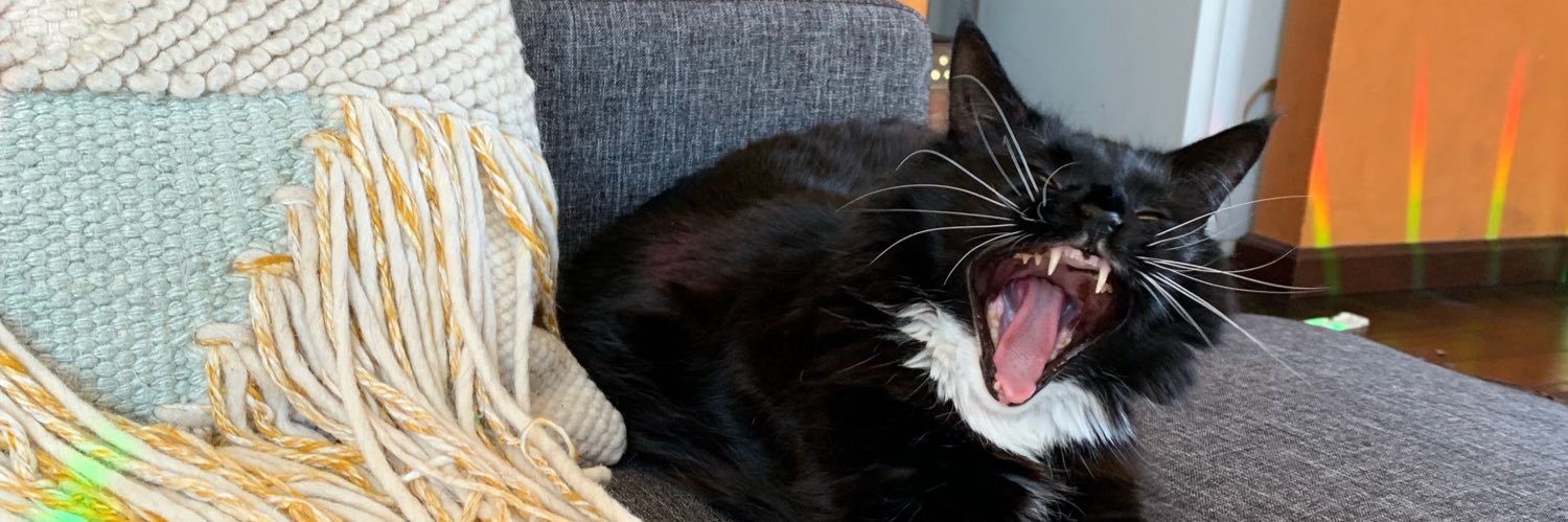 Laura Goetz 🏳️‍🌈 (they/them) banner