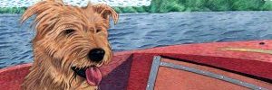 Jimmydog2's profile banner image