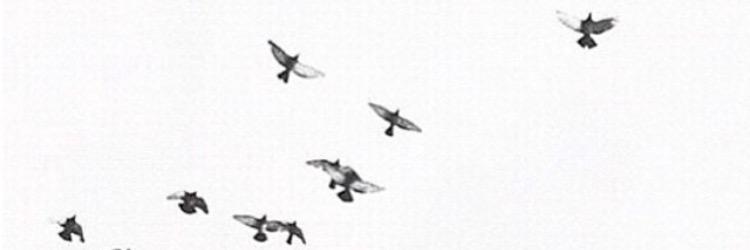 Kimannbriggs's profile banner image