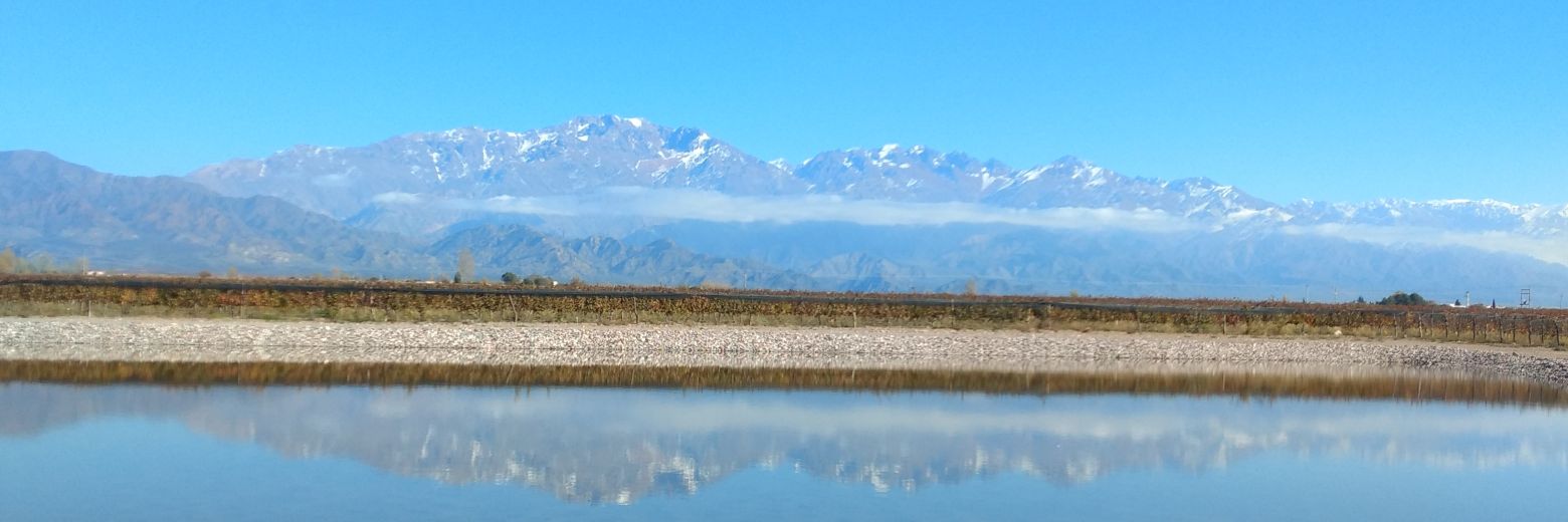 Batmalbec🍷🦇 banner