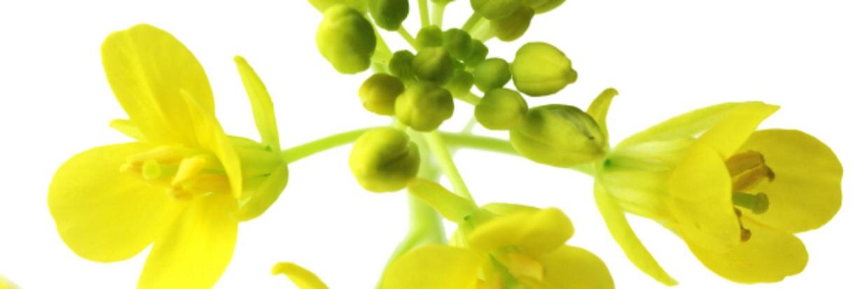 agwestbio's profile banner image