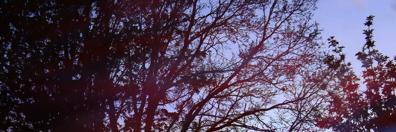 carlithiel's profile banner image