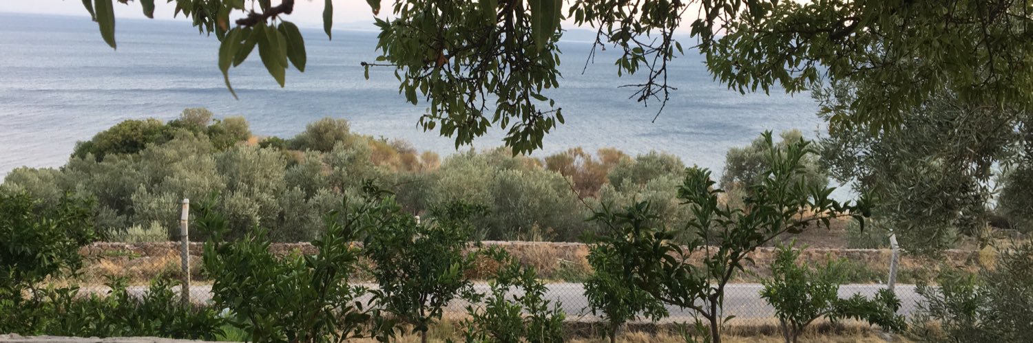 RdenizD's profile banner image