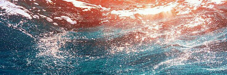 Acervo do Jurídico de Alguma Subcelebridade banner