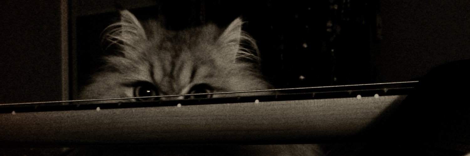 CroinaMagyar's profile banner image