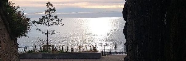 Patricia Tracey Thomas banner