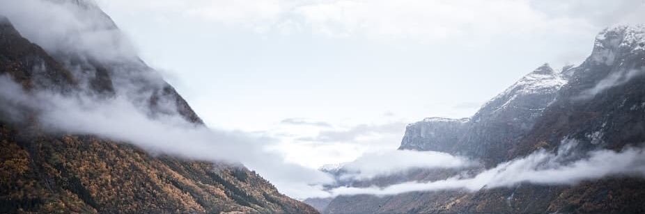MashkaRogova's profile banner image