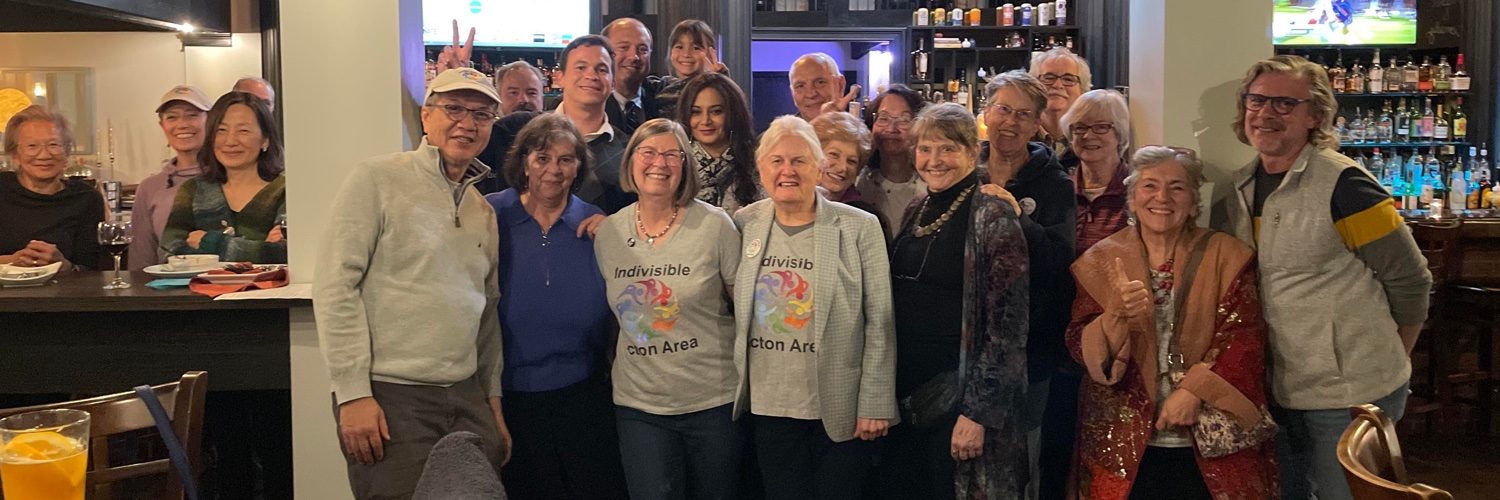 IndivisibleActonMa #democracy is a verb banner