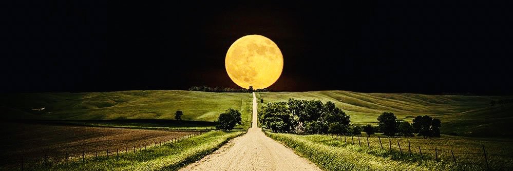 Şener Çiçek banner