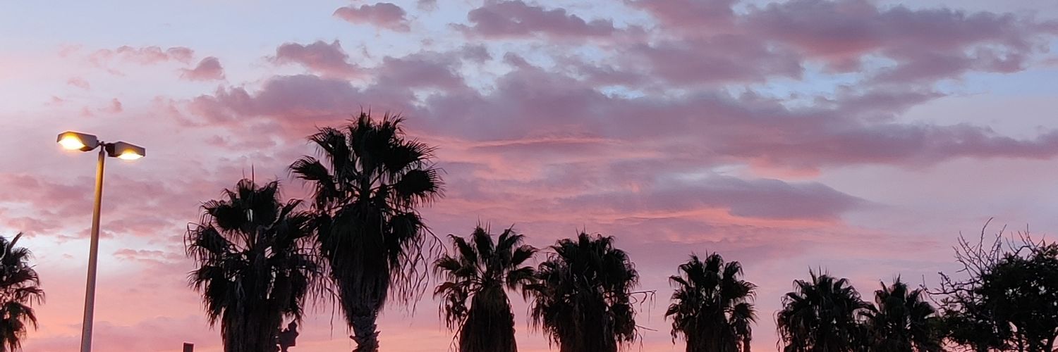 TheEncanna's profile banner image