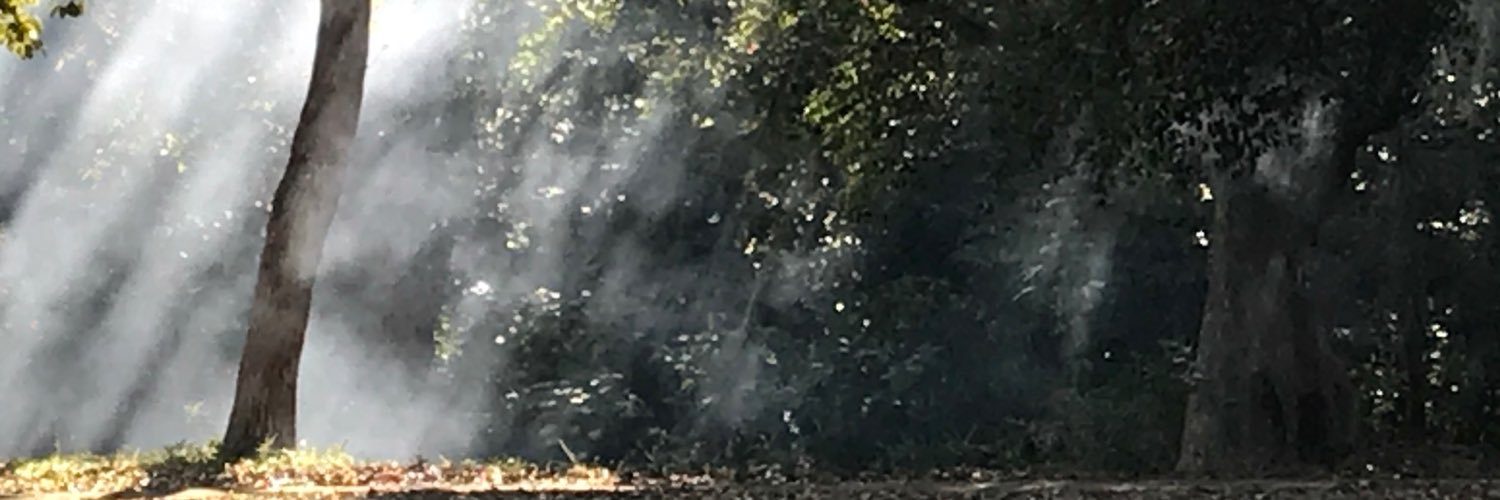 depperkomaneti's profile banner image
