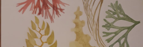 TheForagersKitc Profile Banner