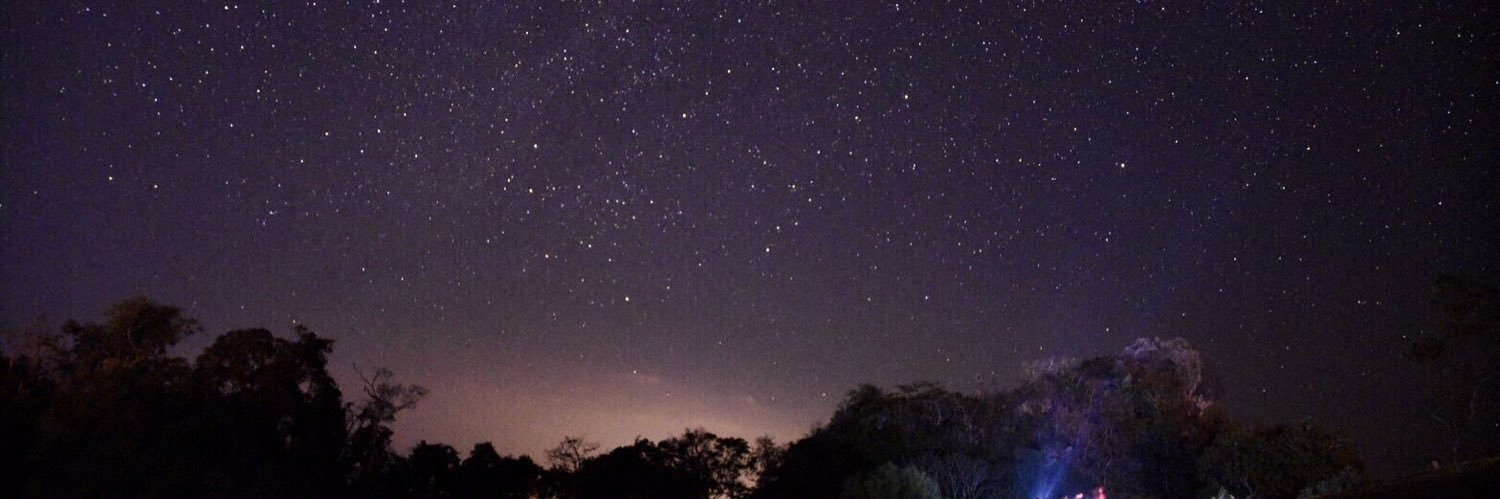 ppzpzzppzpzzzpzp. banner