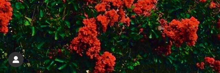 zeynpakpinarr's profile banner image