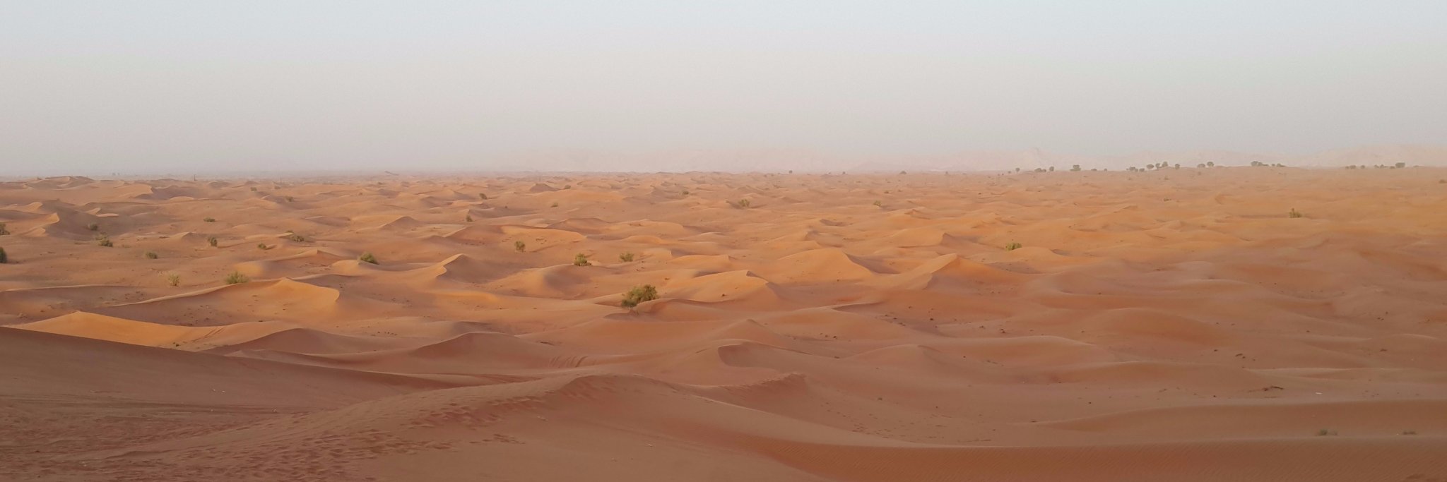 Udhuma Abdul Latheef banner