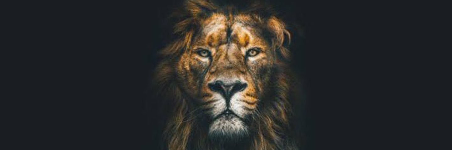 sekercininoglu's profile banner image