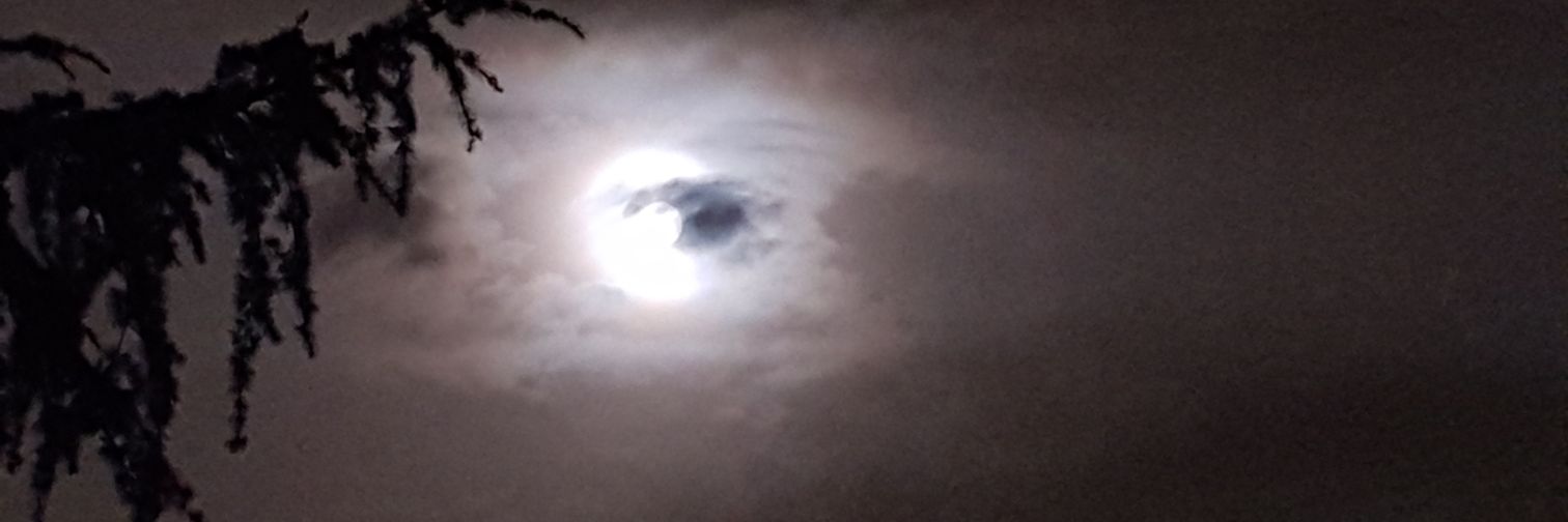 Ada Font Basté banner