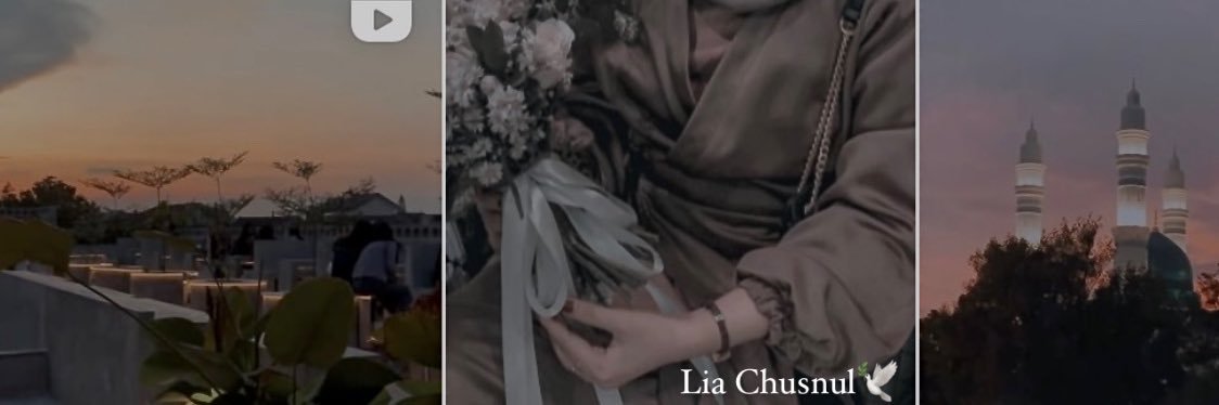 liachusnul's profile banner image