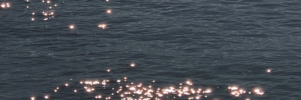 Irén Rivera banner