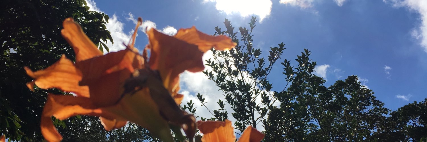 marienvandelft's profile banner image