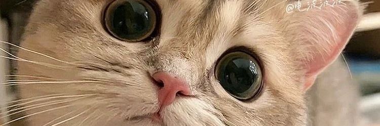 coal_______'s profile banner image