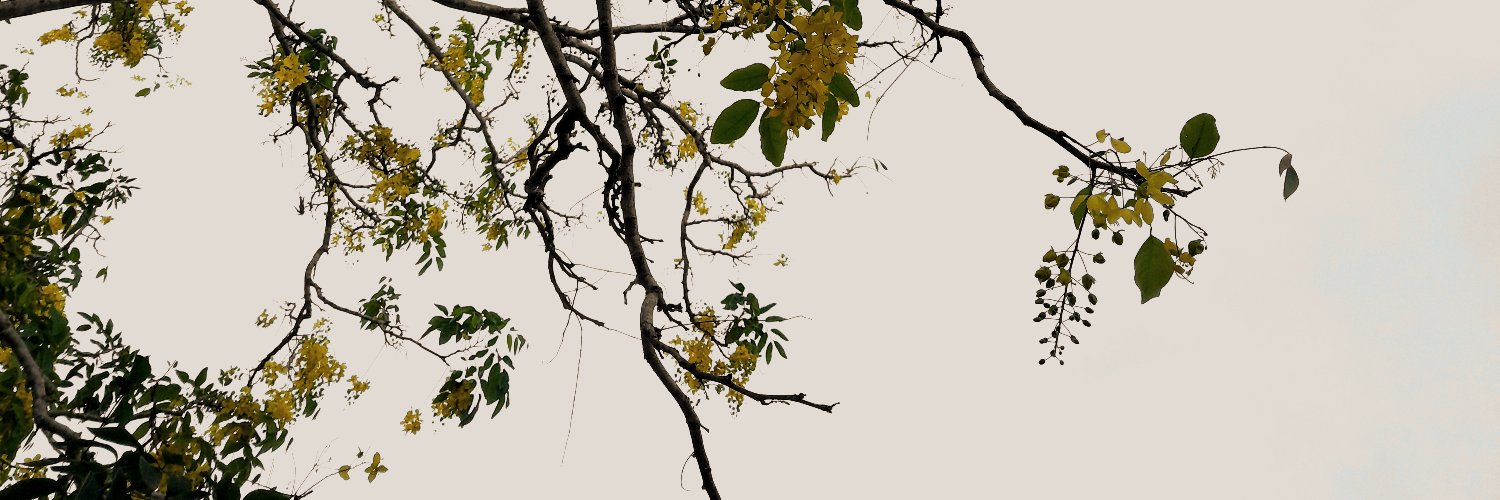 Manuel Tibaquirá banner